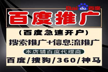 揭秘百度包年竞价优势：成功案例深度解析